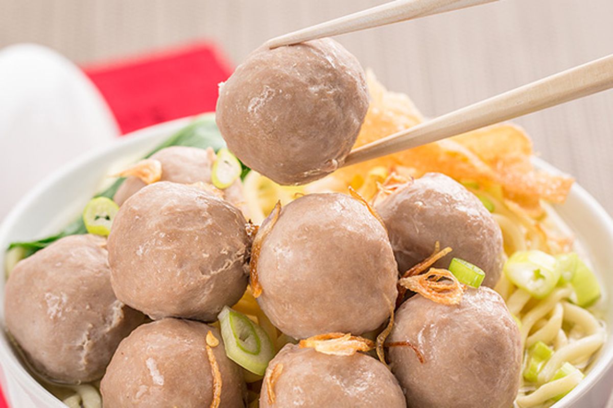 mesin pembuat bakso untuk usaha