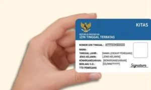 Ingin Tinggal di Indonesia? Yuk Kenalan Dulu dengan KITAS!