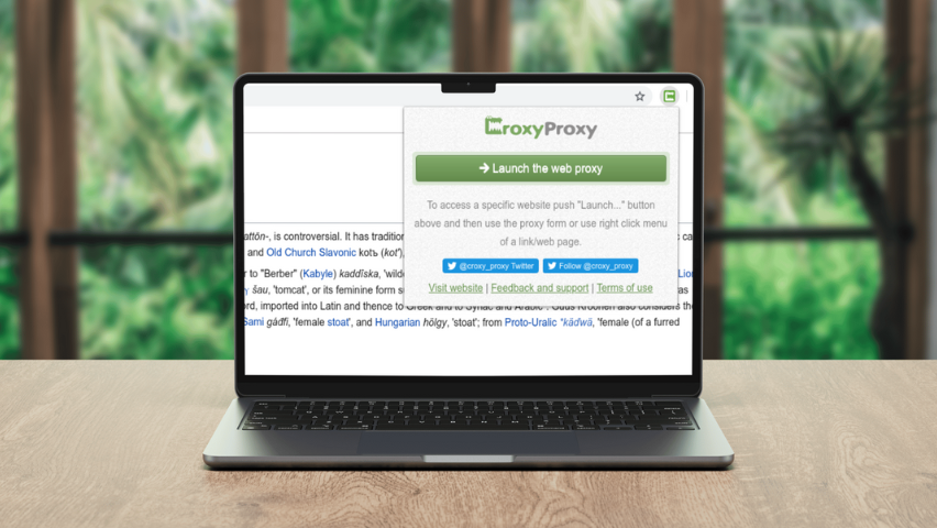 Apa Itu Croxypoxy dan Bagaimana Cara Kerjanya?